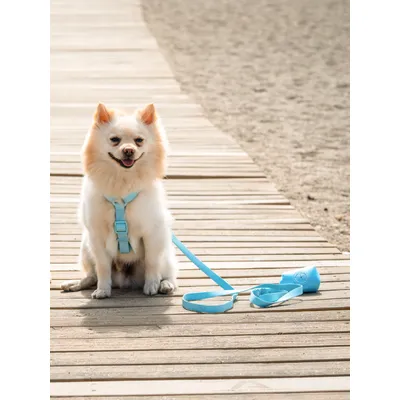 Dukier Laisse Waterproof