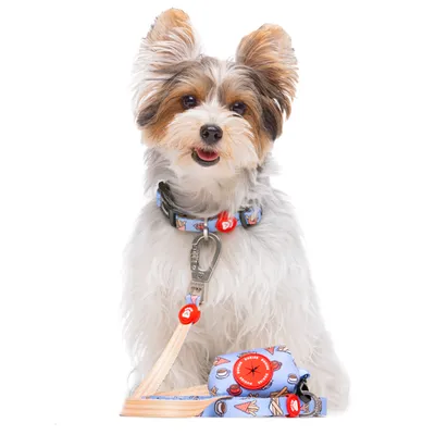 Dukier Laisse Churros pour chien