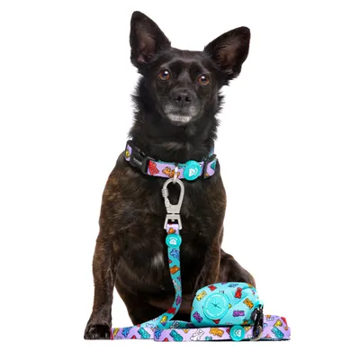 Dukier Laisse Gummy Bears pour chien