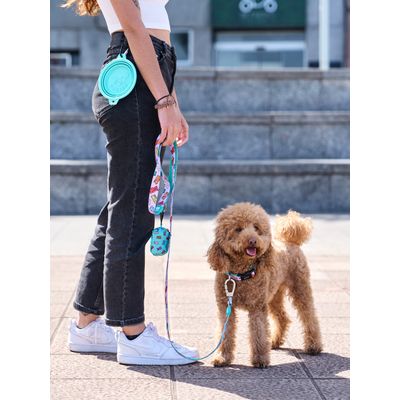 Dukier Laisse Gummy Bears pour chien