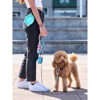 Dukier Laisse Gummy Bears pour chien