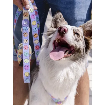 Dukier Laisse Smiley pour chien
