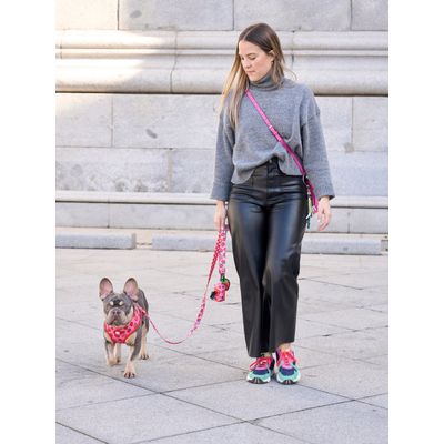 Dukier Laisse Berry Love pour chien