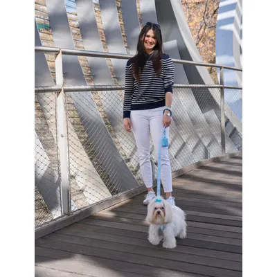 Dukier Laisse Soft Blue (Essentials) pour chien