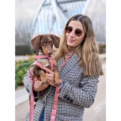 Dukier Laisse Terracota (Essentials) pour chien