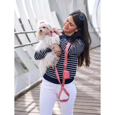 Dukier Laisse Terracota (Essentials) pour chien