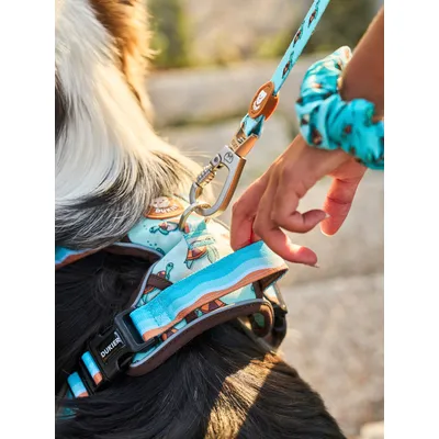 Dukier Laisse Turtle pour chien