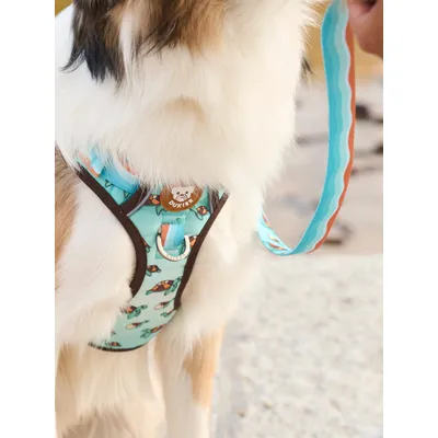 Dukier Laisse Turtle pour chien