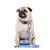 Dukier Laisse Mermaid pour chien