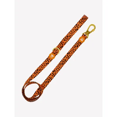 Dukier Laisse Cheetah pour chien