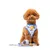 Dukier Laisse Unicorns pour chien