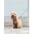 Dukier Laisse Unicorns pour chien