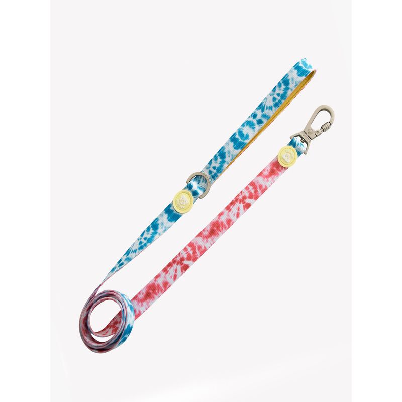 Dukier Laisse Tie Dye pour chien