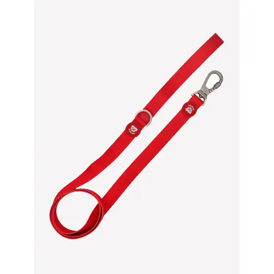 Dukier Laisse Red pour chien
