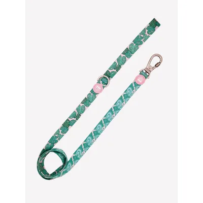Dukier Laisse Monstera pour chien