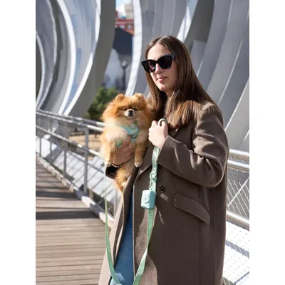 Dukier Laisse Soft Green (essentials) pour chien