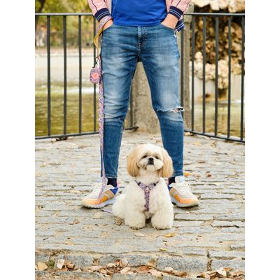 Dukier Laisse Flower Power pour chien