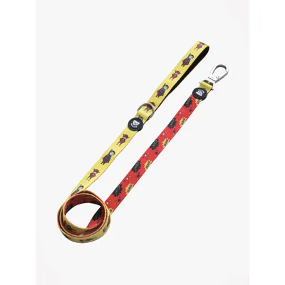 Dukier Laisse Superdog pour chien