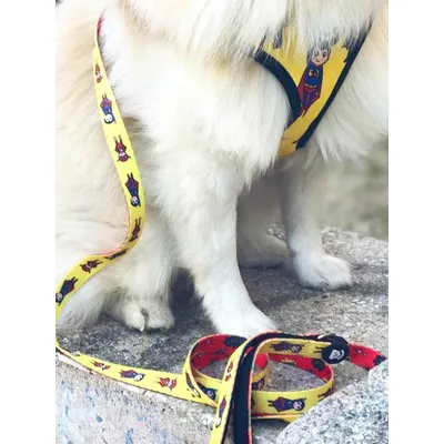 Dukier Laisse Superdog pour chien