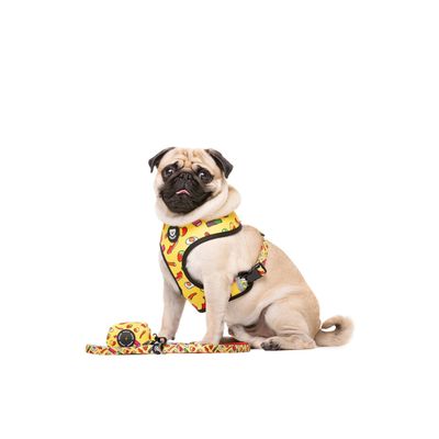 Dukier Laisse Sweets pour chien
