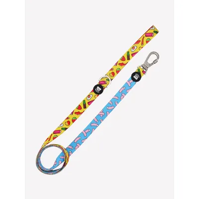 Dukier Laisse Sweets pour chien