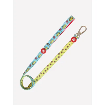 Dukier Laisse California pour chien