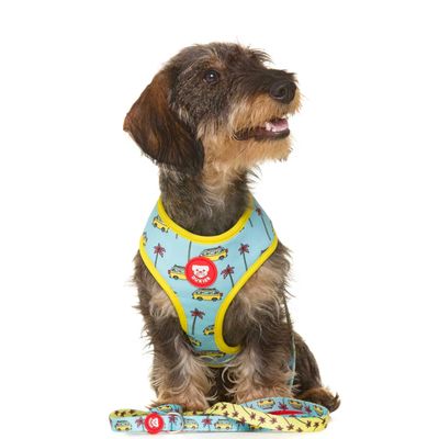 Dukier Laisse California pour chien