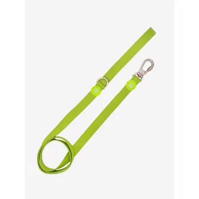 Dukier Laisse Lime pour chien