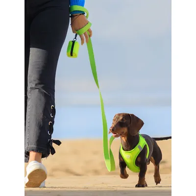 Dukier Laisse Lime pour chien