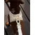 Dukier Laisse Beige (Essentials) pour chien