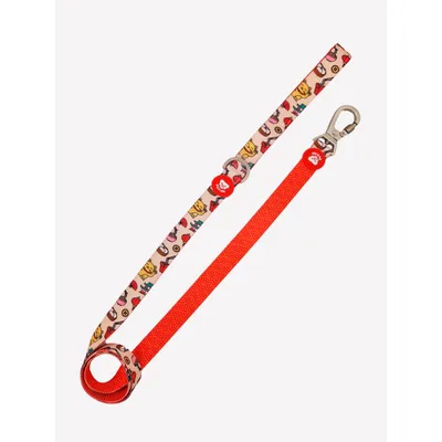 Dukier Laisse Asian pour chien