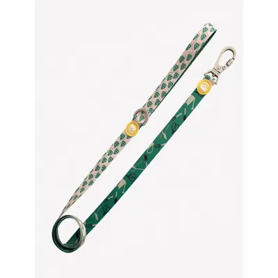 Dukier Laisse Plants pour chien