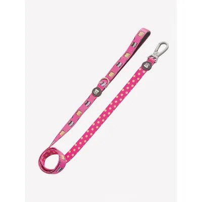 Dukier Laisse Dogtella pour chien