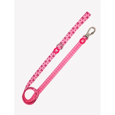 Dukier Laisse Coquette pour chien