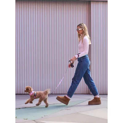 Dukier Laisse Pink Galaxy pour chien