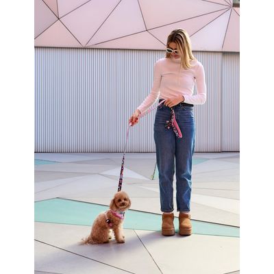Dukier Laisse Pink Galaxy pour chien