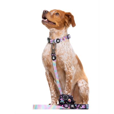 Dukier Laisse Pink Galaxy pour chien