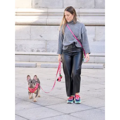 Dukier Laisse Berry Love pour chien