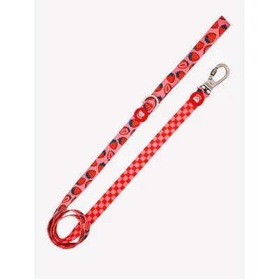Dukier Laisse Berry Love pour chien