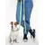 Dukier Laisse Avocado pour chien