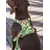 Dukier Laisse Avocado pour chien