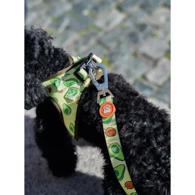 Dukier Laisse Avocado pour chien