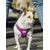 Dukier Laisse Purple pour chien