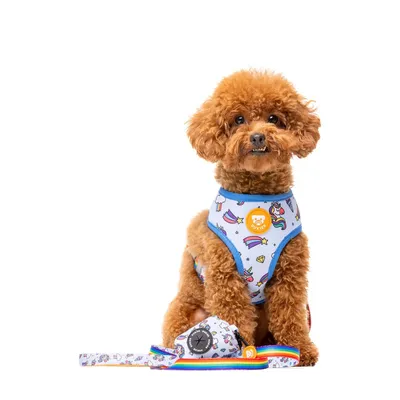Dukier Laisse Unicorns pour chien