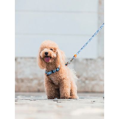 Dukier Laisse Unicorns pour chien