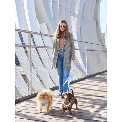 Dukier Laisse Beige (Essentials) pour chien