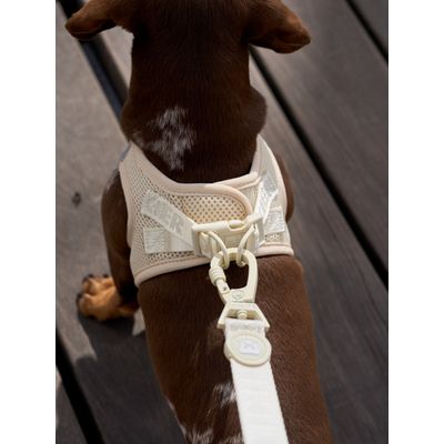 Dukier Laisse Beige (Essentials) pour chien