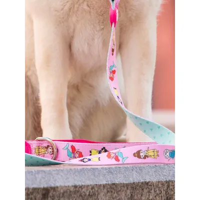 Dukier Laisse Princess pour chien