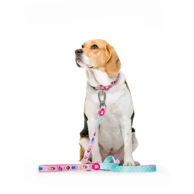 Dukier Laisse Princess pour chien