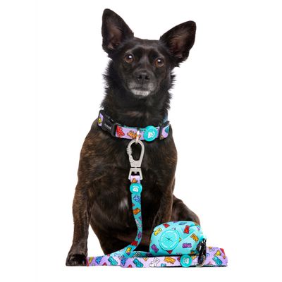 Dukier Laisse Gummy Bears pour chien